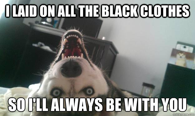 I laid on all the black clothes So I'll always be with you  Over Obsessive Dog