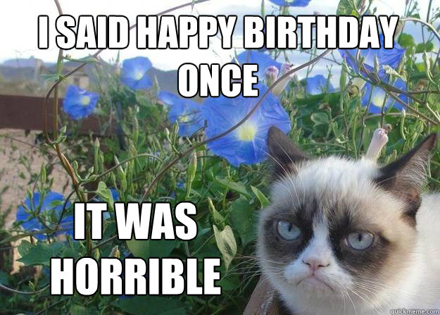 I said happy birthday once It was horrible  Cheer up grumpy cat