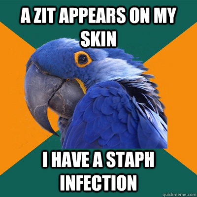 A zit appears on my skin I have a staph infection  Paranoid Parrot