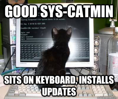 Good Sys-Catmin Sits on keyboard, installs updates  