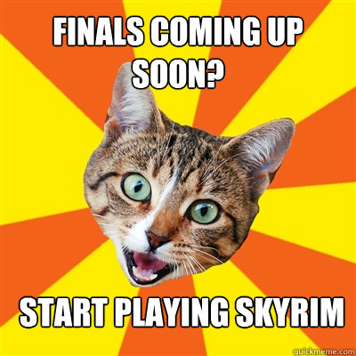 Finals coming up soon? START PLAYING SKYRIM  Bad Advice Cat