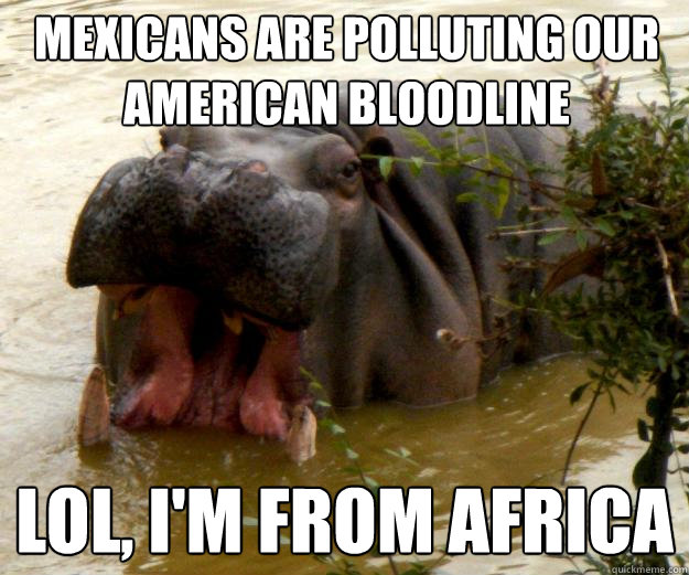 Mexicans are polluting our AMerican bloodline lol, i'm from africa  Hypocrite Hippo