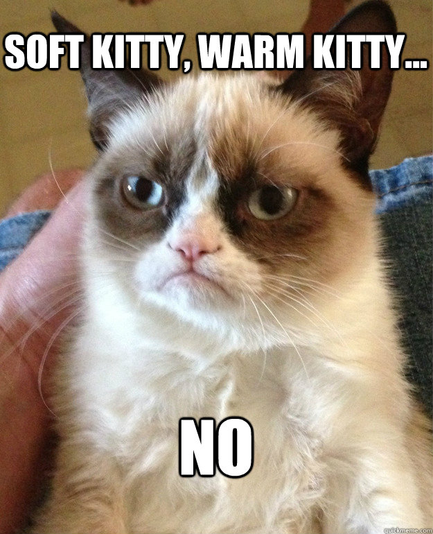 Soft Kitty, Warm KItty... NO  Grumpy Cat