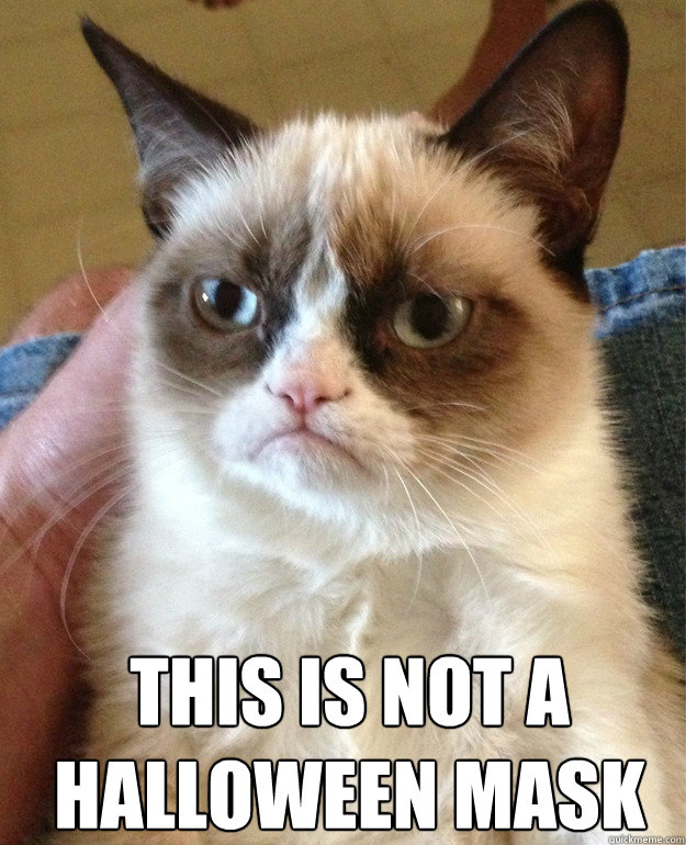 This is not a Halloween Mask  Grumpy Cat