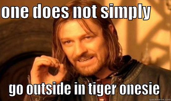 ONE DOES NOT SIMPLY       GO OUTSIDE IN TIGER ONESIE Boromir