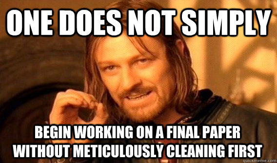 ONE DOES NOT SIMPLY BEGIN WORKING ON A FINAL PAPER WITHOUT METICULOUSLY CLEANING FIRST  One Does Not Simply