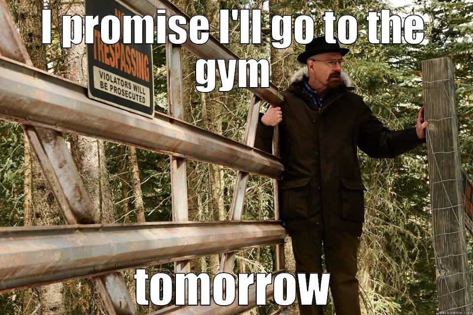 I PROMISE I'LL GO TO THE GYM TOMORROW Misc