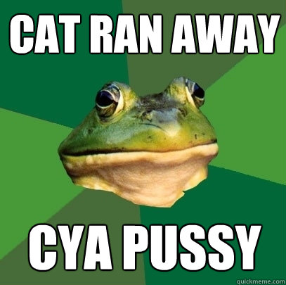 Cat Ran Away CYA Pussy  Foul Bachelor Frog