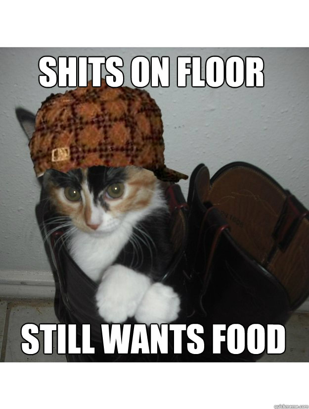 Shits on floor still wants food  