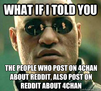 What if I told you the people who post on 4chan about reddit, also post on reddit about 4chan  What if I told you