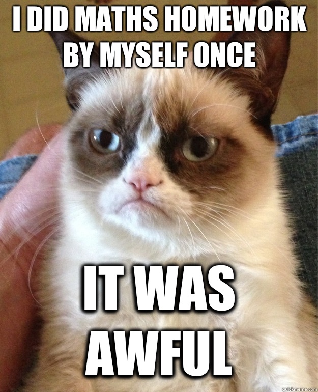 I did maths homework by myself once It was awful  Grumpy Cat