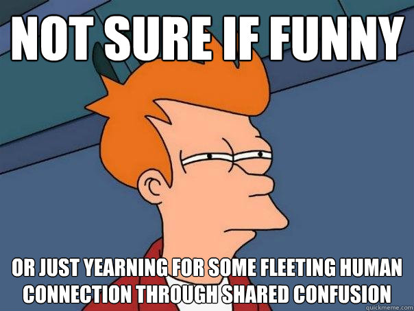 Not sure if funny or just yearning for some fleeting human connection through shared confusion  Futurama Fry
