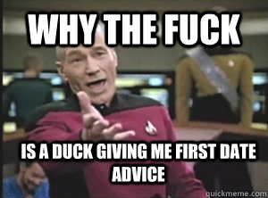 Why the fuck is a duck giving me first date advice  Annoyed Picard