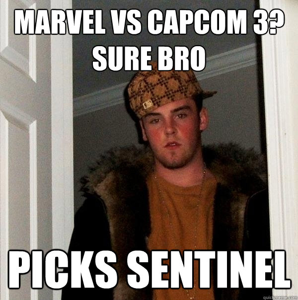 Marvel Vs Capcom 3? Sure bro Picks Sentinel  Scumbag Steve