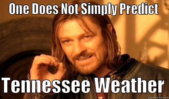 ONE DOES NOT SIMPLY PREDICT  TENNESSEE WEATHER Boromir