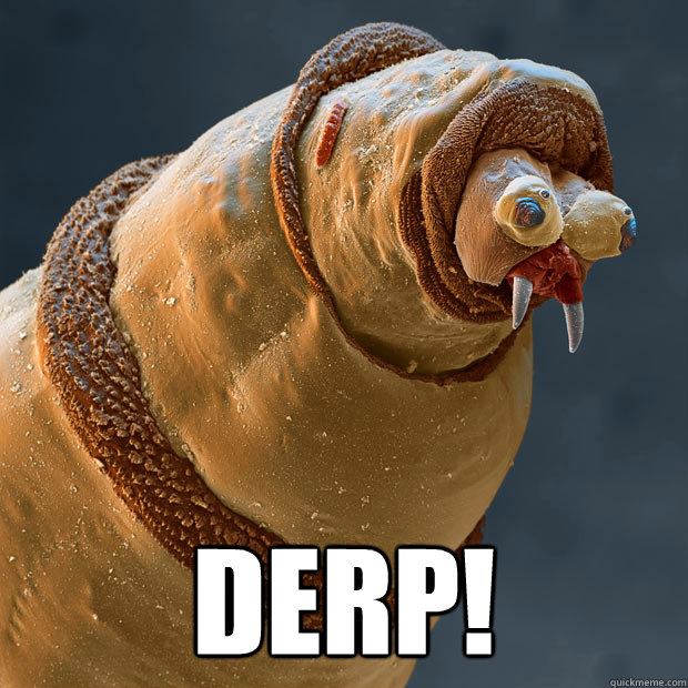  Derp! -  Derp!  Derp larva