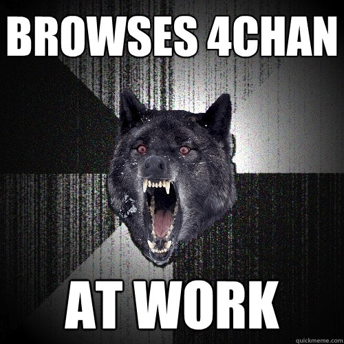 browses 4chan at work  Insanity Wolf