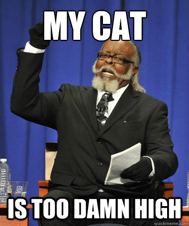 My Cat is too damn high  The Rent Is Too Damn High