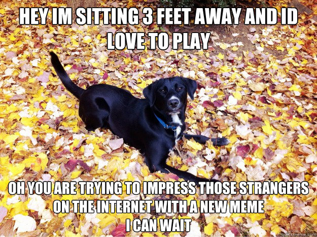 Hey Im sitting 3 feet away and id love to play oh you are trying to impress those strangers on the internet with a new meme
I can wait  Guilt Giving Good Dog
