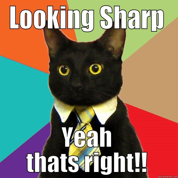 LOOKING SHARP YEAH THATS RIGHT!! Business Cat