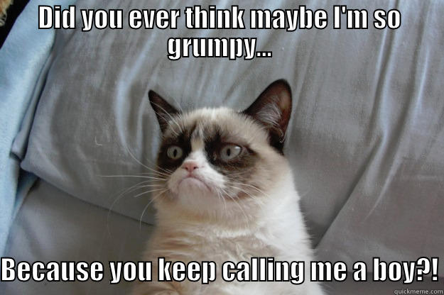 DID YOU EVER THINK MAYBE I'M SO GRUMPY...  BECAUSE YOU KEEP CALLING ME A BOY?! Grumpy Cat