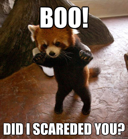 BOO! DID i scareded you?  