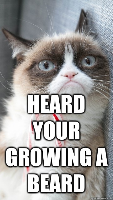  Heard your growing a beard -  Heard your growing a beard  Candy cane grumpy cat