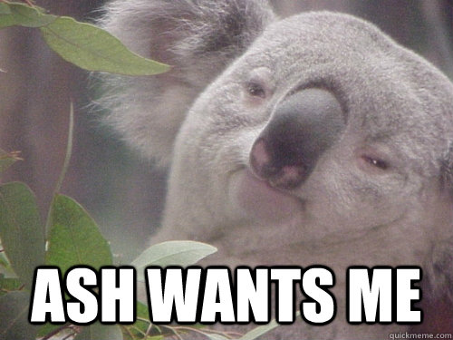  ash wants me  Koala
