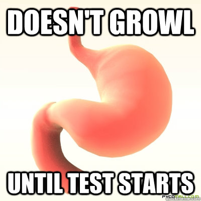 Doesn't growl Until test starts  Scumbag Stomach