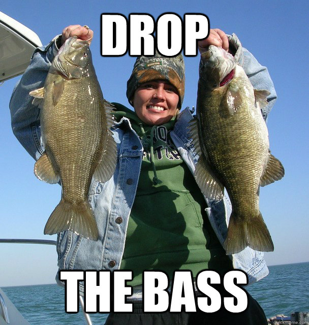 DROP  THE BASS  Drop The Bass