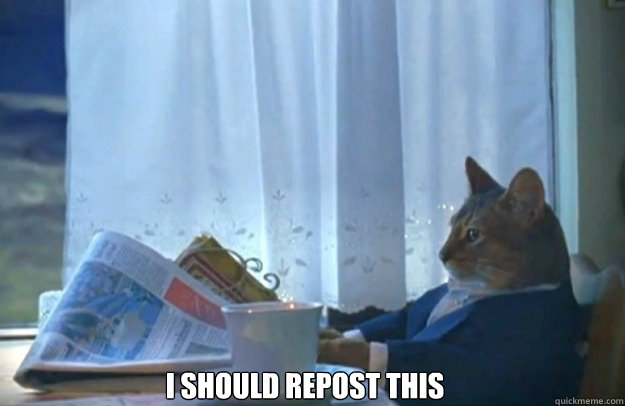 I should repost this  Sophisticated Cat