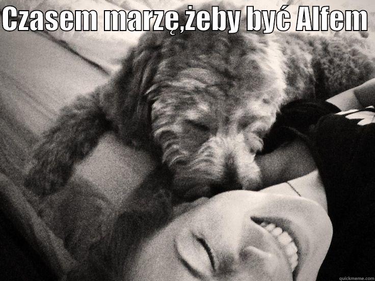 CZASEM MARZĘ,ŻEBY BYĆ ALFEM   Misc