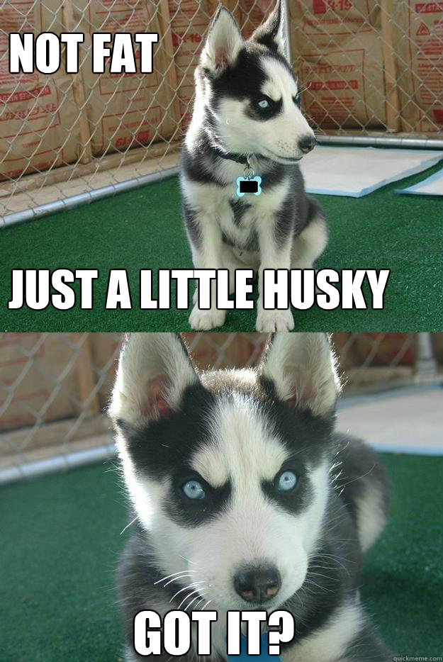 NOT FAT 



JUST A LITTLE HUSKY GOT IT? - NOT FAT 



JUST A LITTLE HUSKY GOT IT?  Insanity puppy