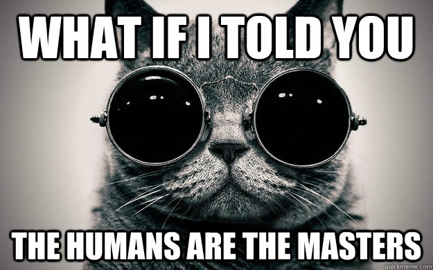 What if i told you the humans are the masters  Morpheus Cat Facts