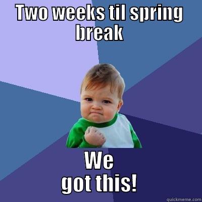 TWO WEEKS TIL SPRING BREAK WE            GOT THIS!            Success Kid