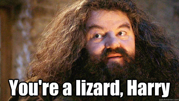  You're a lizard, Harry -  You're a lizard, Harry  butts