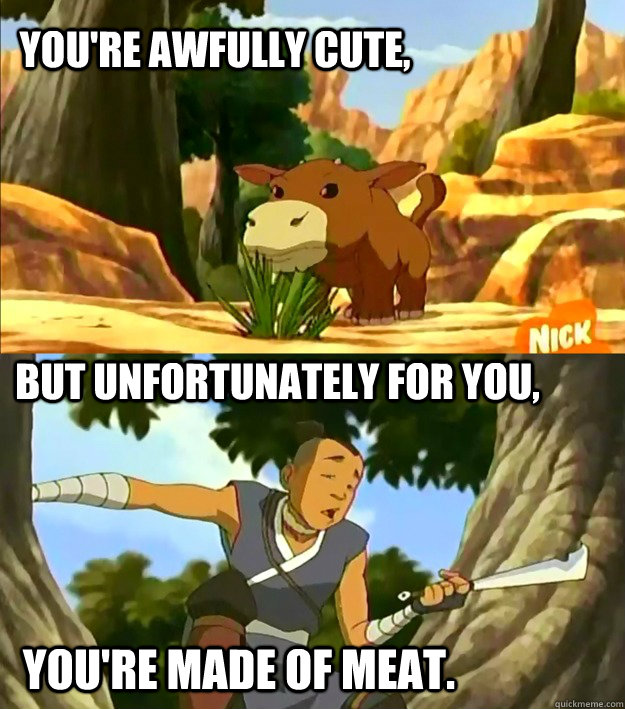 You're awfully cute, but unfortunately for you, You're made of meat.  Sokka