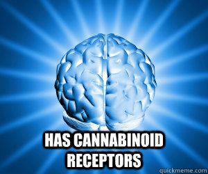 Has Cannabinoid receptors  Good Guy Brain