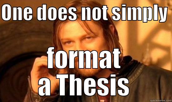 ONE DOES NOT SIMPLY  FORMAT A THESIS Boromir