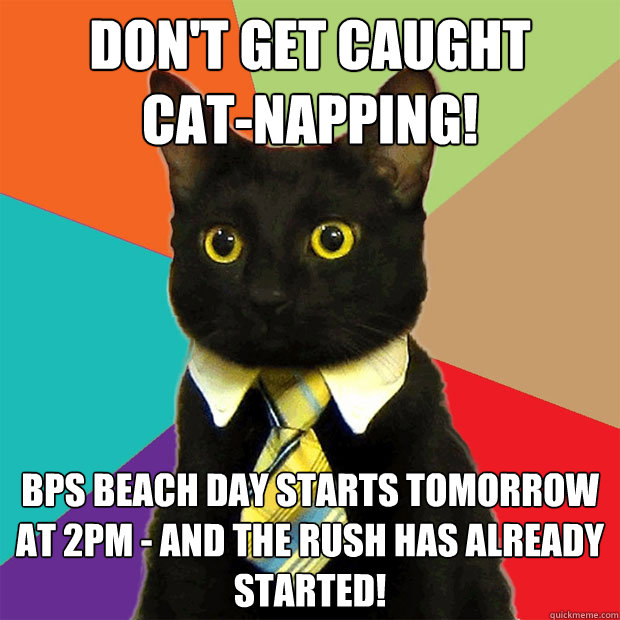 Don't get caught      cat-napping! BPS Beach Day starts tomorrow at 2pm - and the rush has already started!  Business Cat