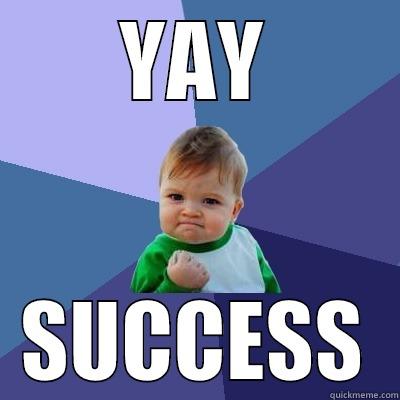 YAY SUCCESS Success Kid