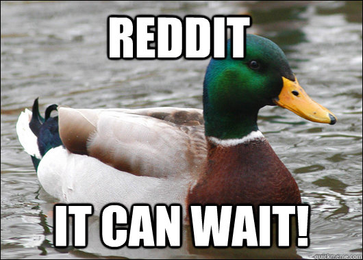 Reddit  it can wait!  Actual Advice Mallard