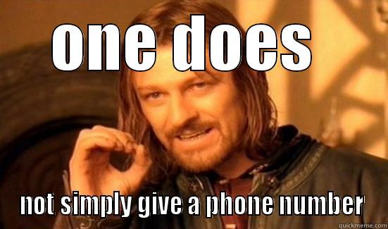 ONE DOES  NOT SIMPLY GIVE A PHONE NUMBER Boromir