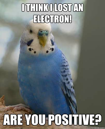 I think I lost an electron! Are You positive? - I think I lost an electron! Are You positive?  Physics Parakeet