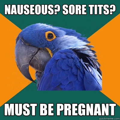 Nauseous? sore tits? must be pregnant  Paranoid Parrot