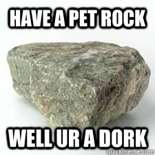 have a pet rock well ur a dork  pet rock