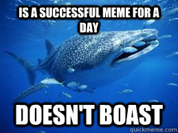 Is a successful meme for a day doesn't boast   