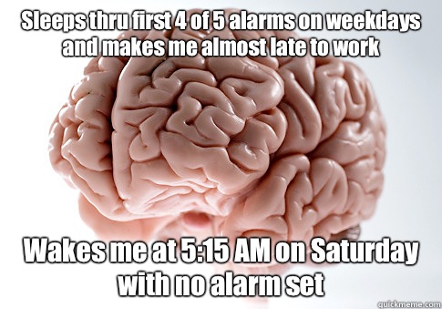 Sleeps thru first 4 of 5 alarms on weekdays and makes me almost late to work Wakes me at 5:15 AM on Saturday with no alarm set  Scumbag Brain