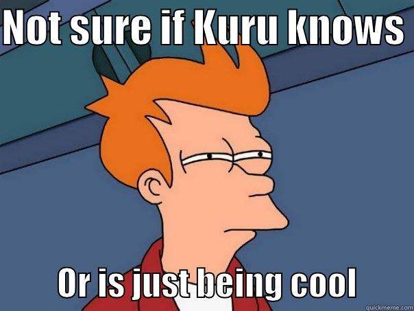 NOT SURE IF KURU KNOWS           OR IS JUST BEING COOL        Futurama Fry