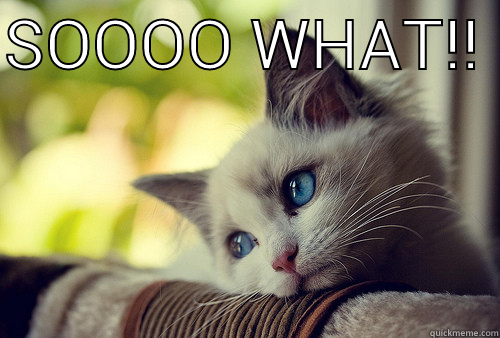 sad face  - SOOOO WHAT!!   First World Problems Cat